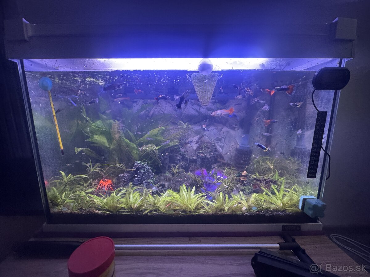 Predám akvaria
