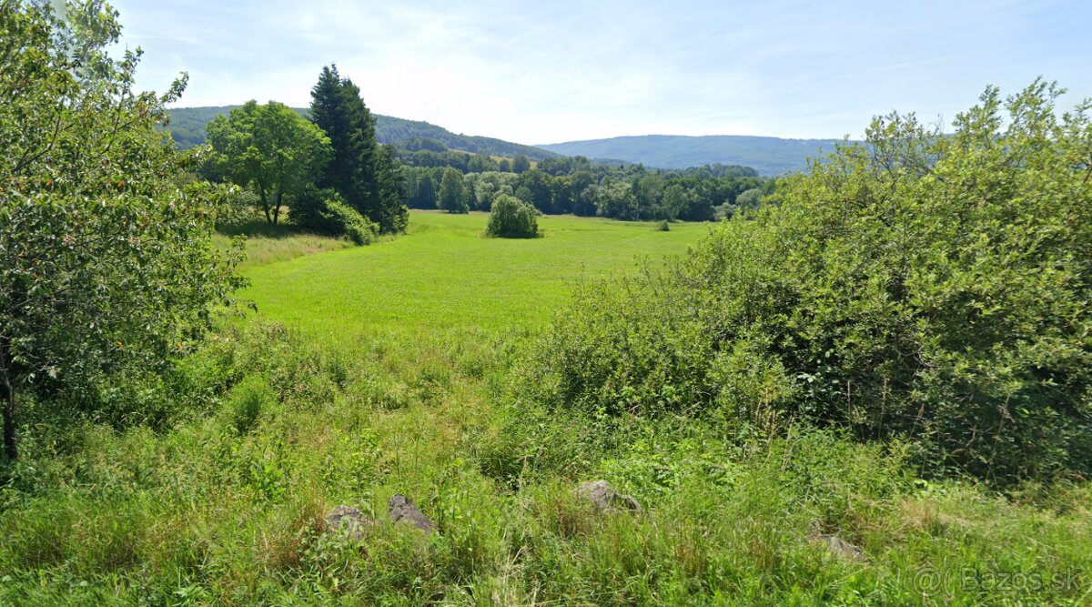 Pozemok v Zaježovej, vhodný na stavbu nehnuteľnosti, 4209m2