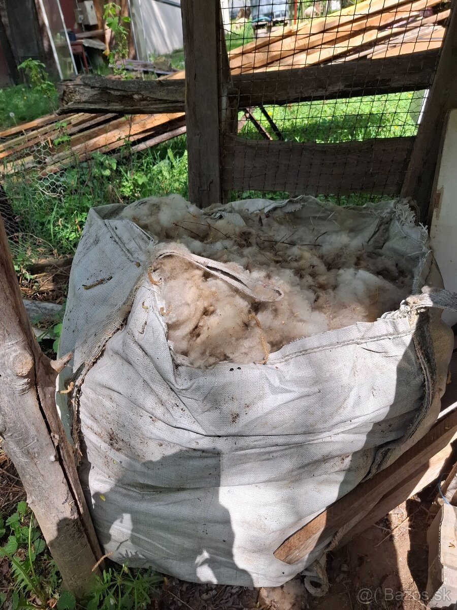 Darujem ovčiu vlnu