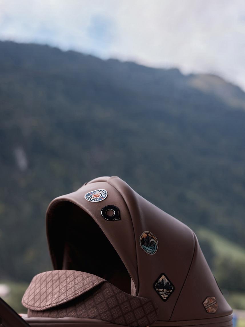 Anex Eli Wander - limited edition