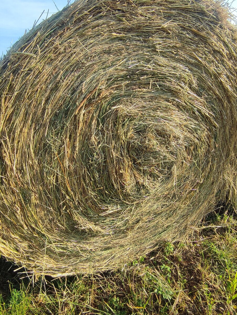 Seno aktuálne do zmazania
