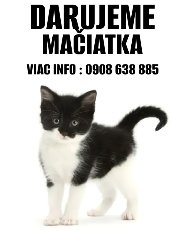 Darujeme mačiatka