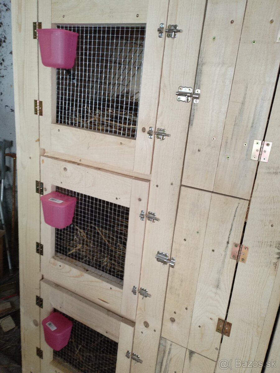 Kralikareñ,zajacienec.