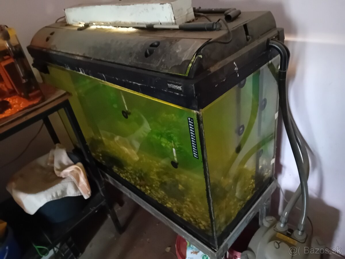 Veľke akvarium