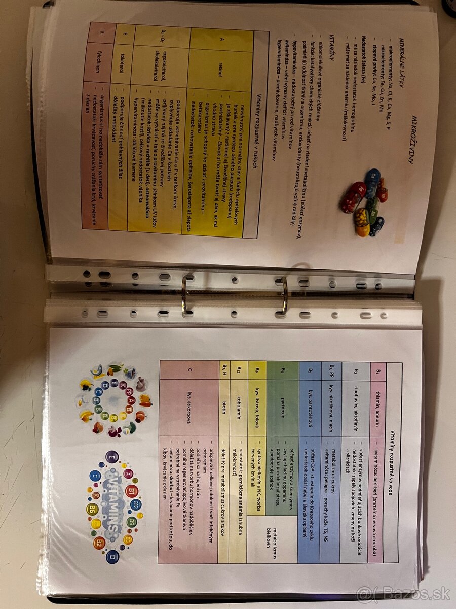 Maturita z biológie podklady