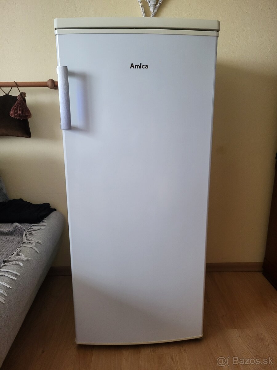 Mraznicka Amica