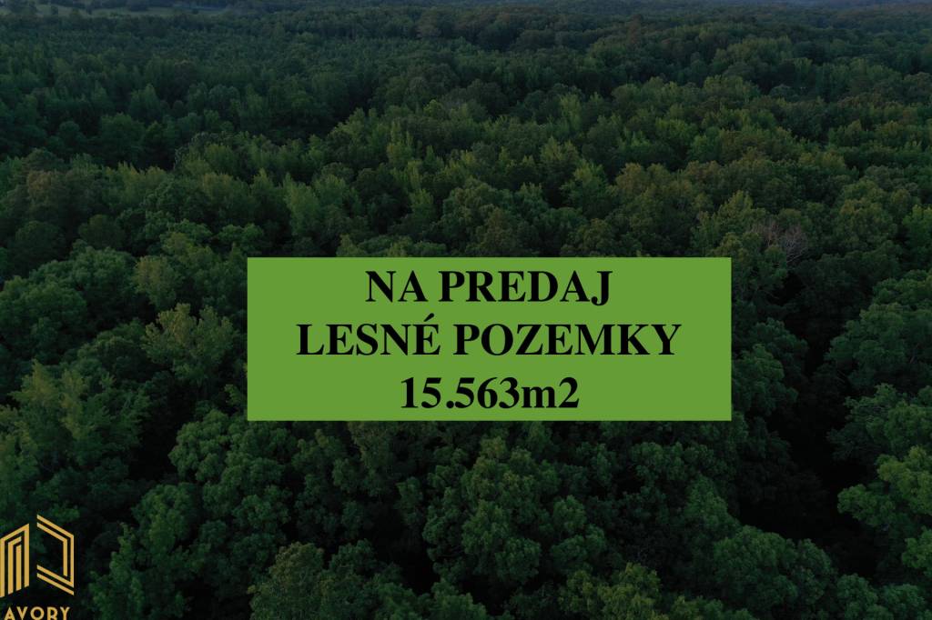 LESNÉ POZEMKY 15.563m2, BORSKÝ MIKULÁŠ, okr. SENICA