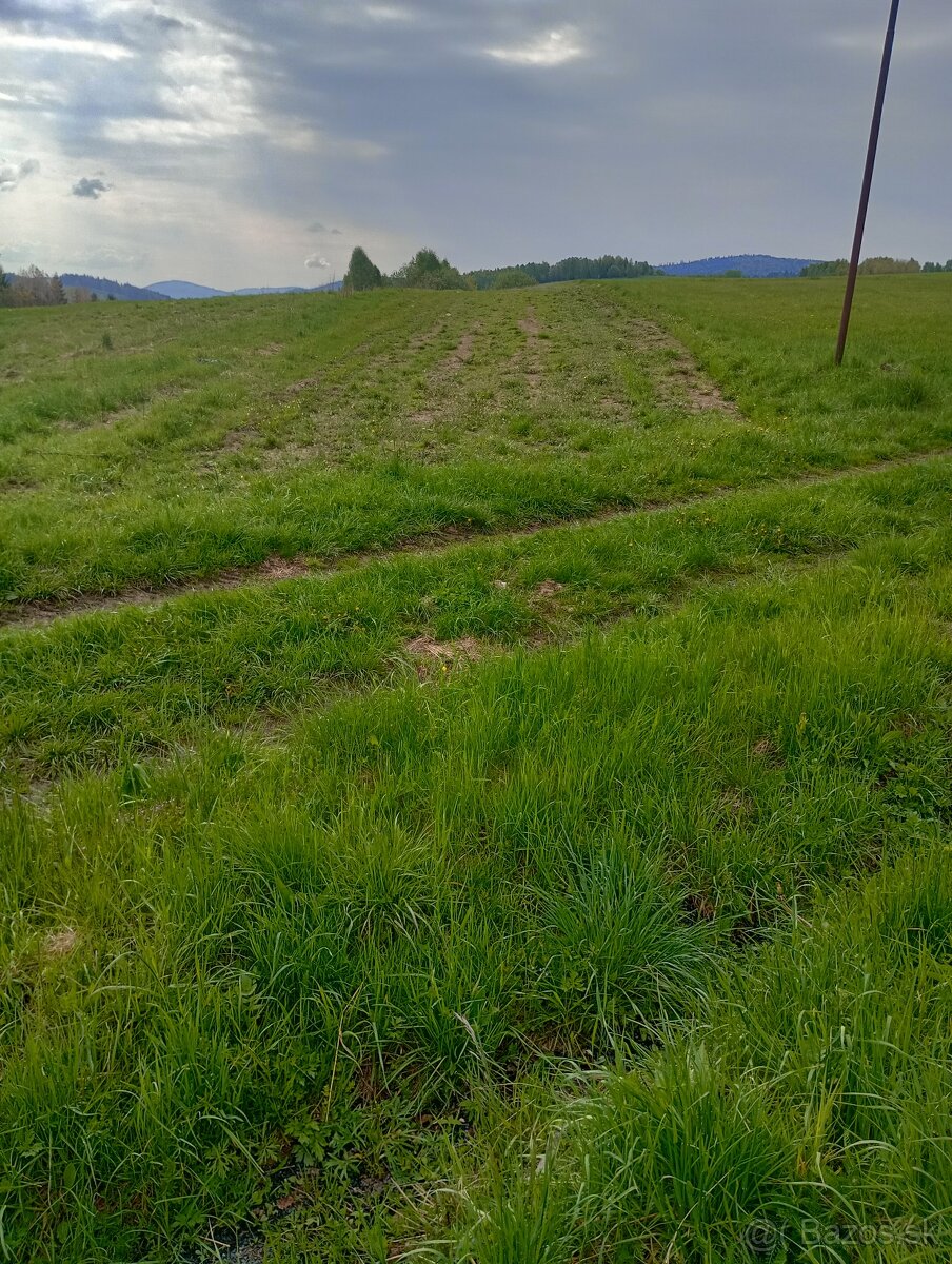 Pozemok pod chatu 623m2 v obci Drábsko