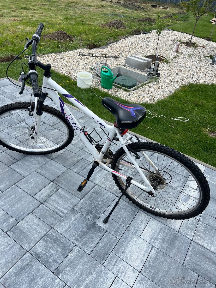 Horský bicykel