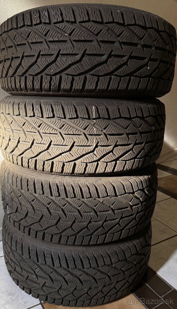 Sebring Snow 225/45 R17 94V