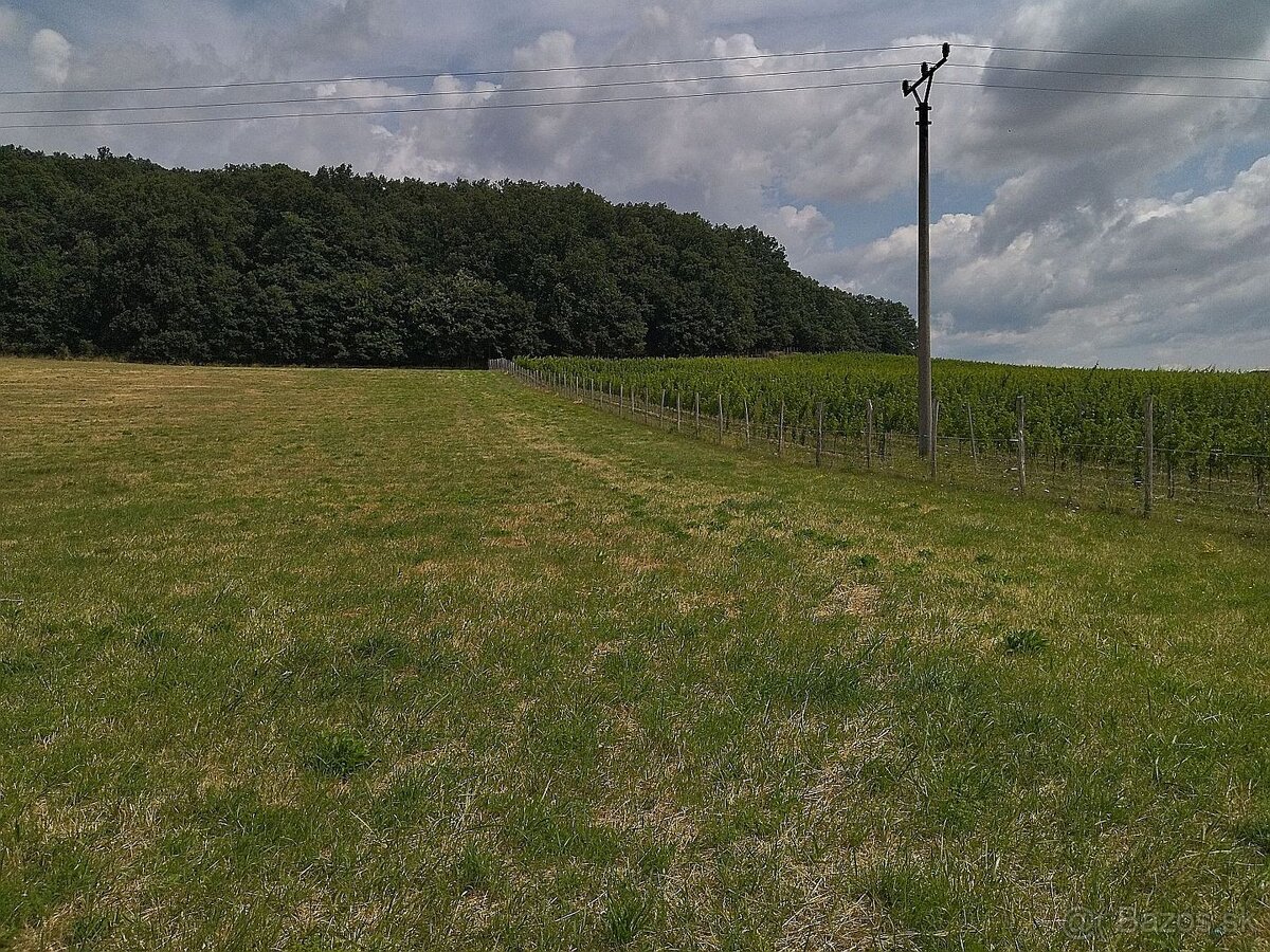 Na predaj budúci stavebný pozemok, pri Trnave, Lošonec