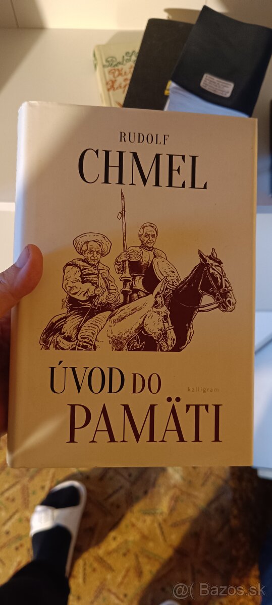 Úvod do pamäti