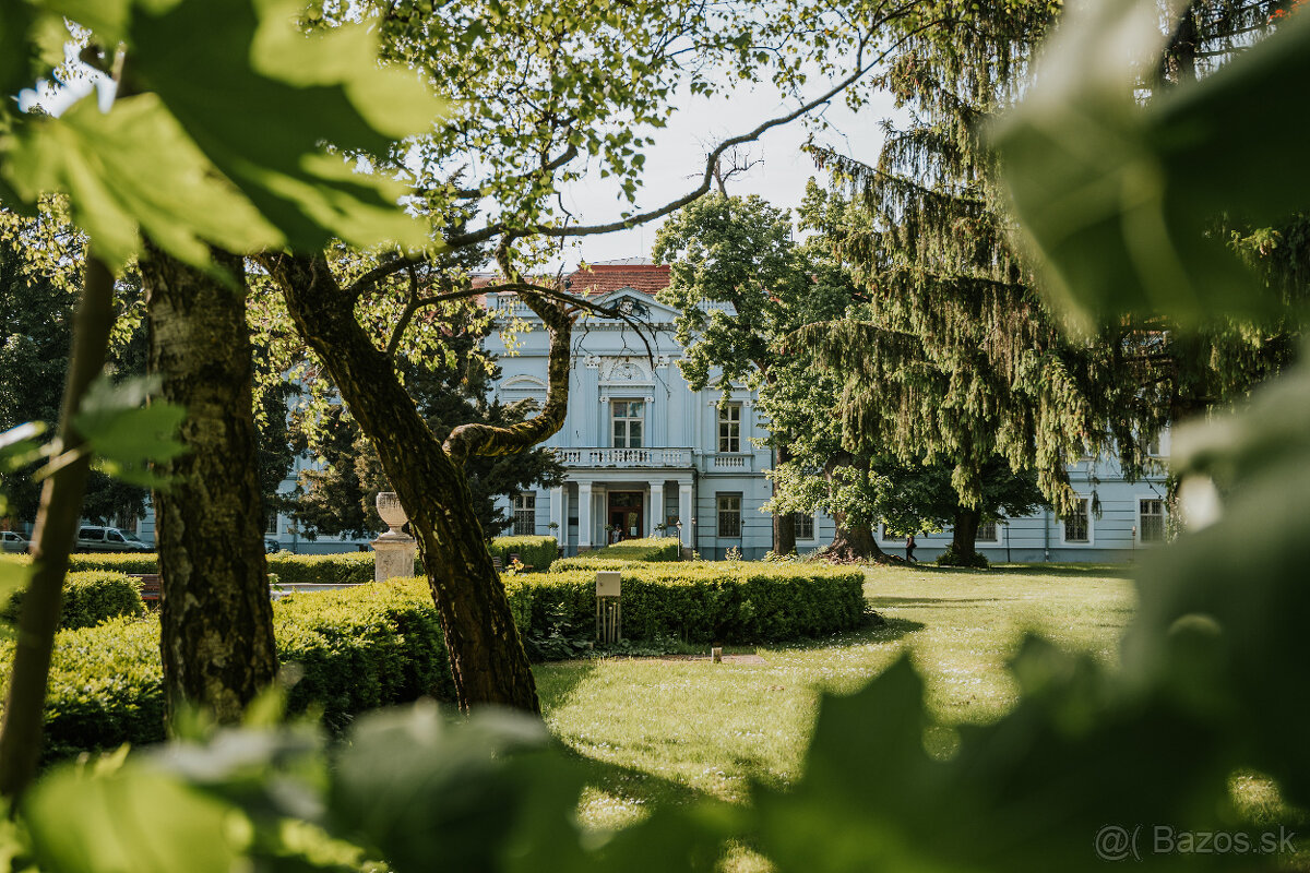 Predám wellness pobyt v historickom kaštieli Mojmírovce