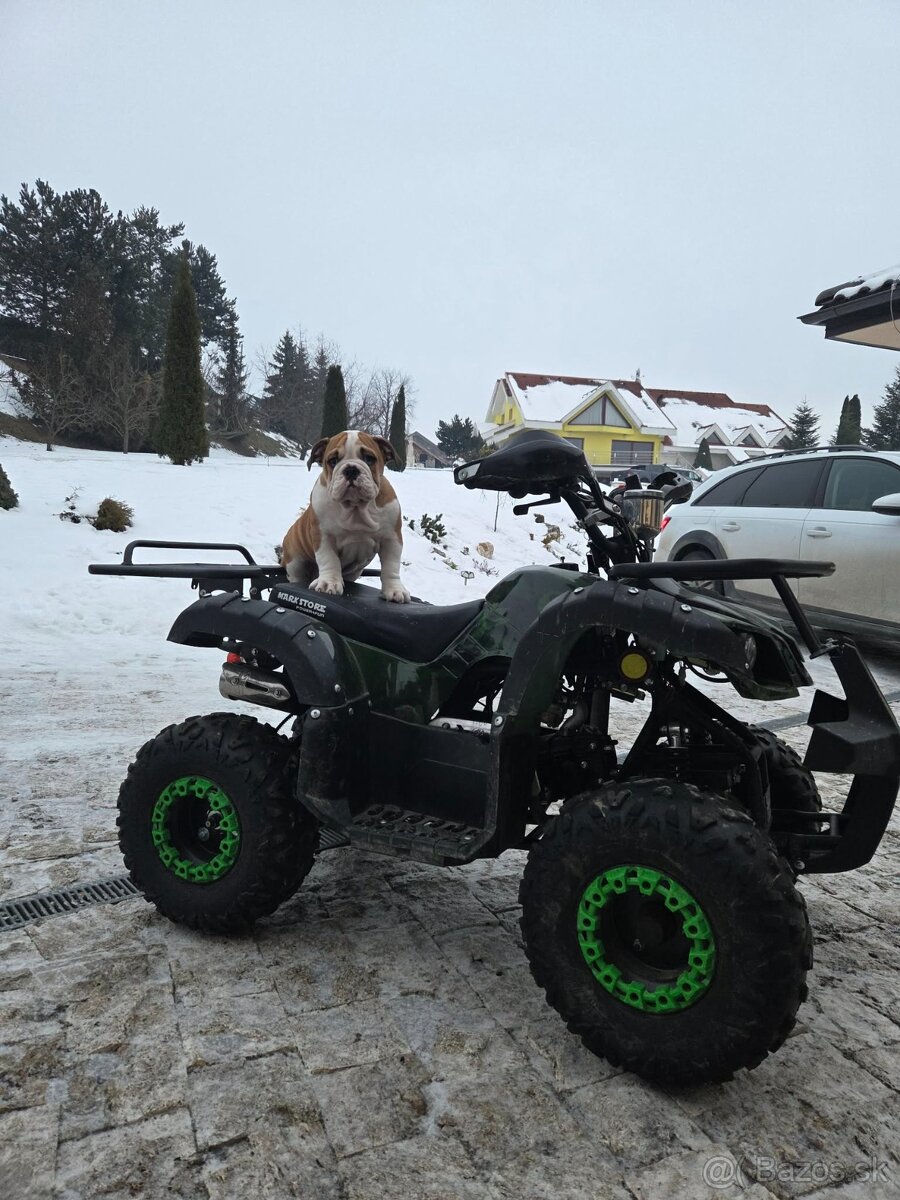 Predám detskú štvorkolku