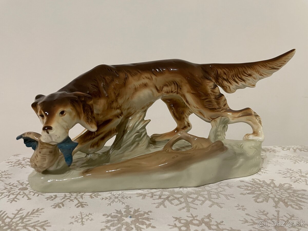 Royal dux - poľovnícky pes