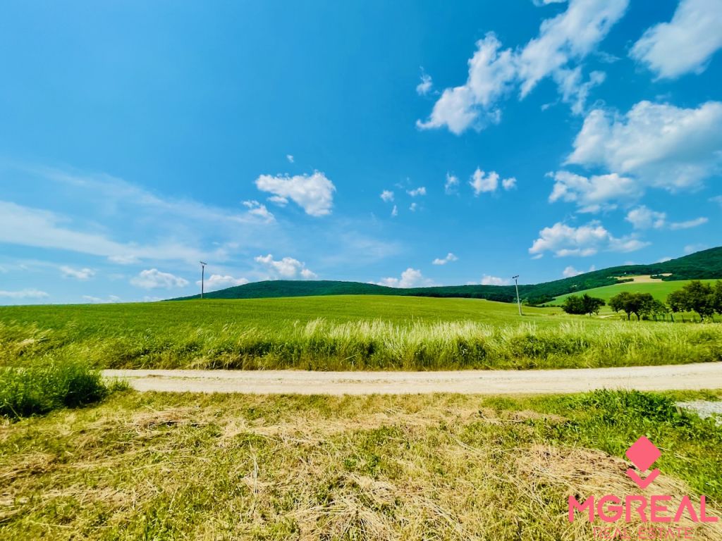 Na predaj orná pôda 9506 m2 Kolačno