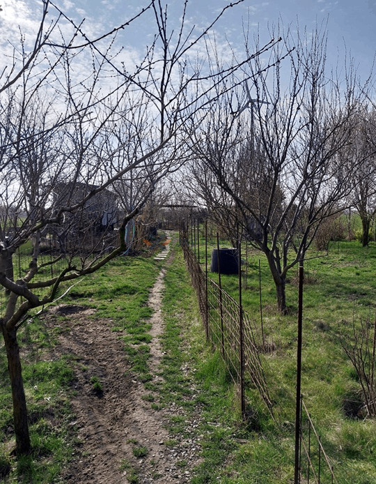 NA PREDAJ ZÁHRADA V PEZINKU