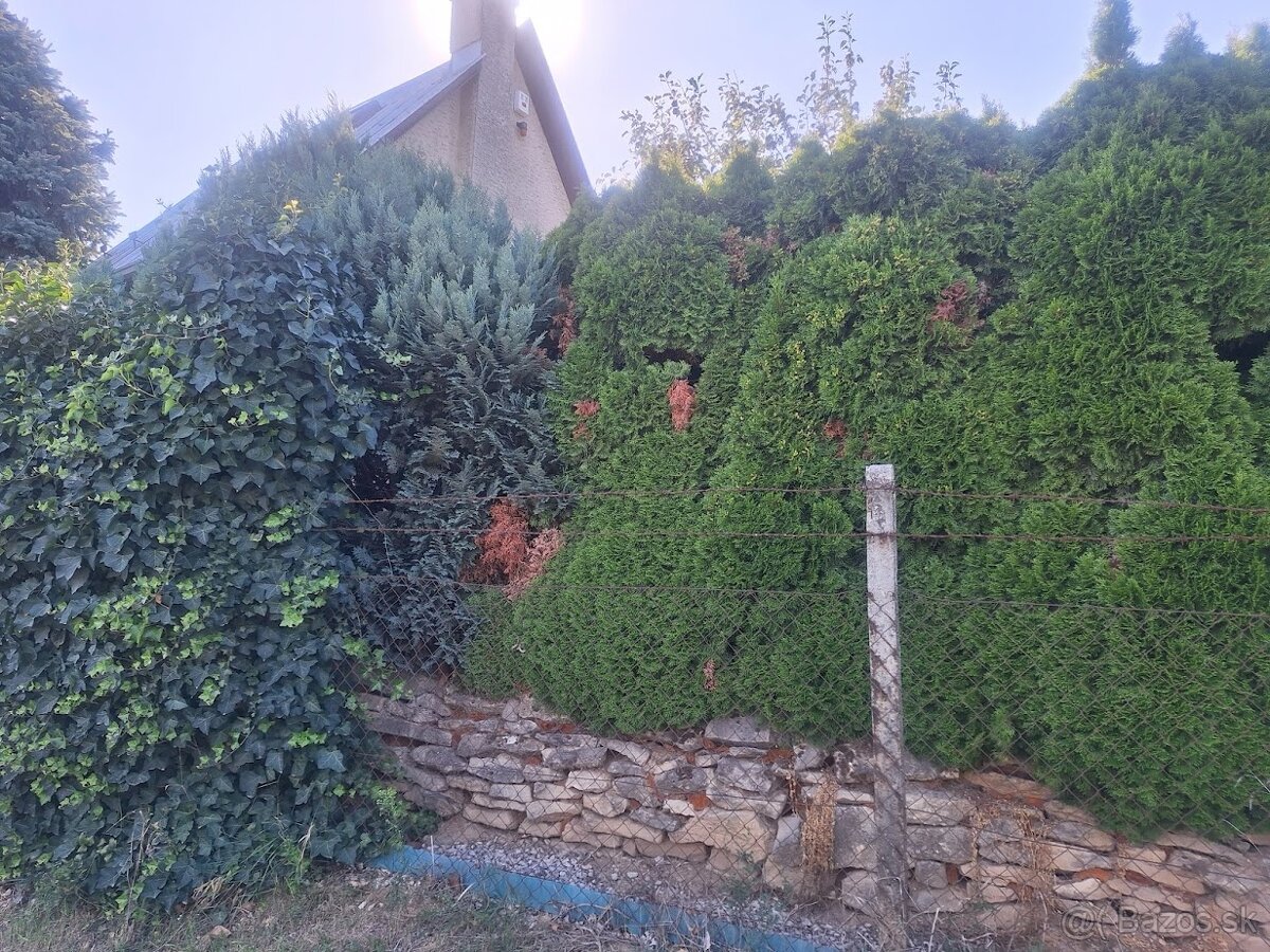 Murovaná záhradný chata, Vinohrady, NMnV