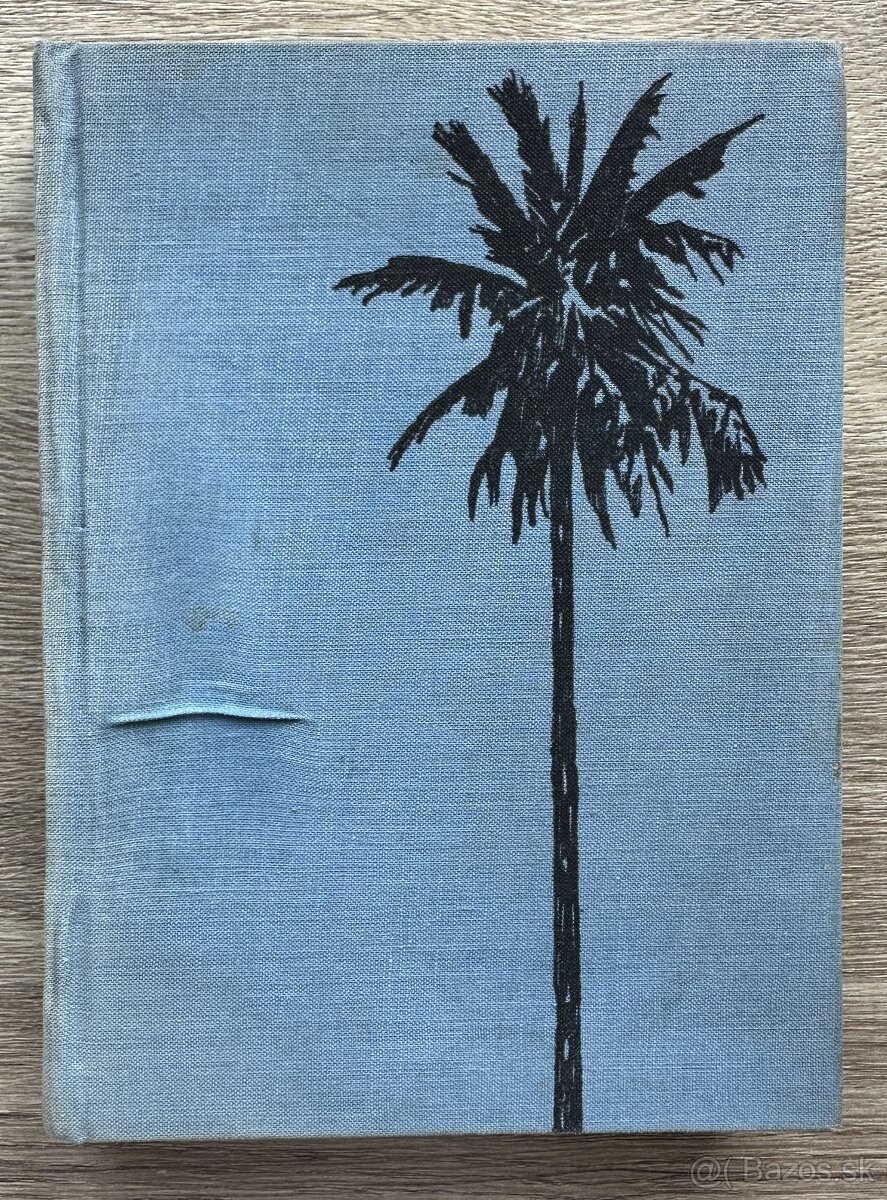800 MÍĽ PO AMAZONE Jules Verne za 5EUR