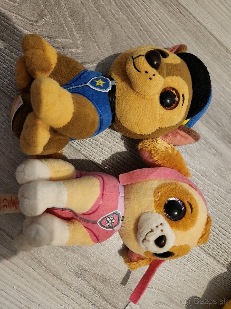 Paw patrol