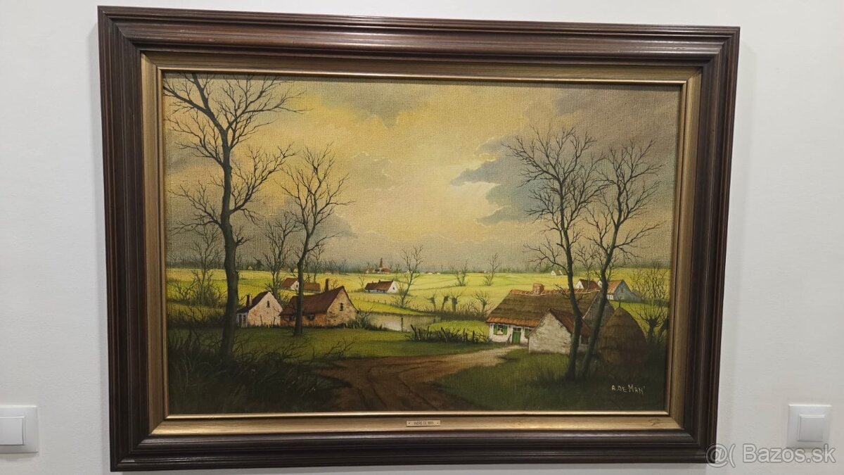 Predám obraz, ANDRE DE MAN