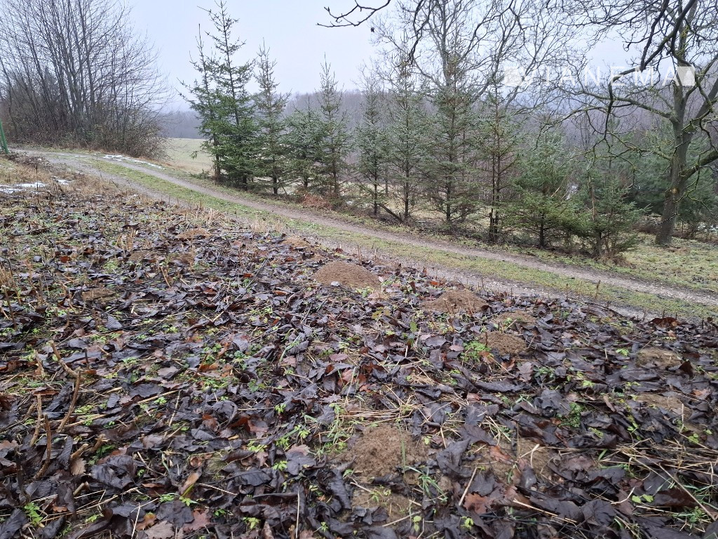 Pozemok na stavbu chatky obklopený horami nad obcou Haluzice