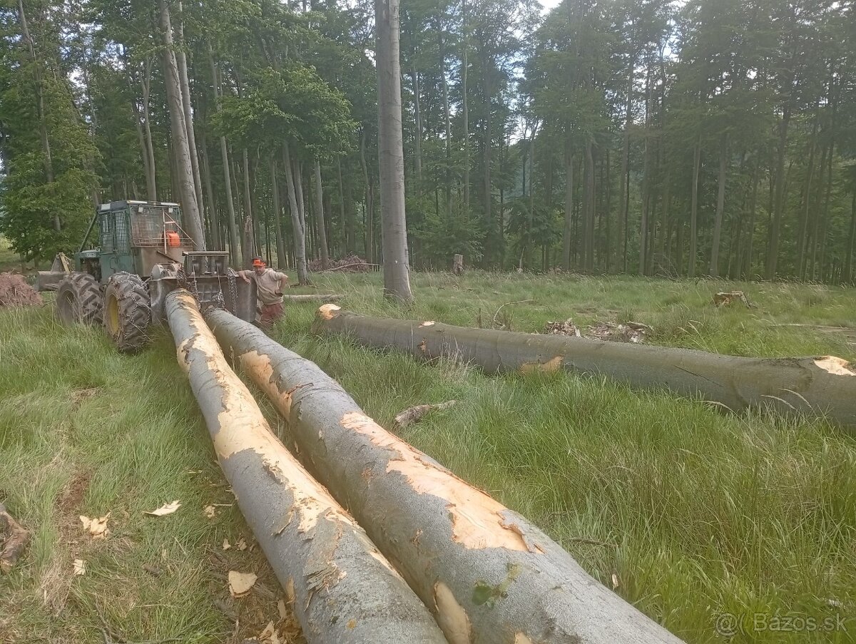 Ťažba dreva