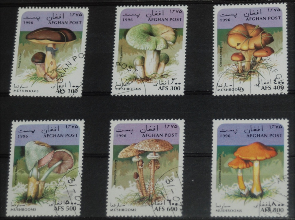 Poštové známky - Flóra 119