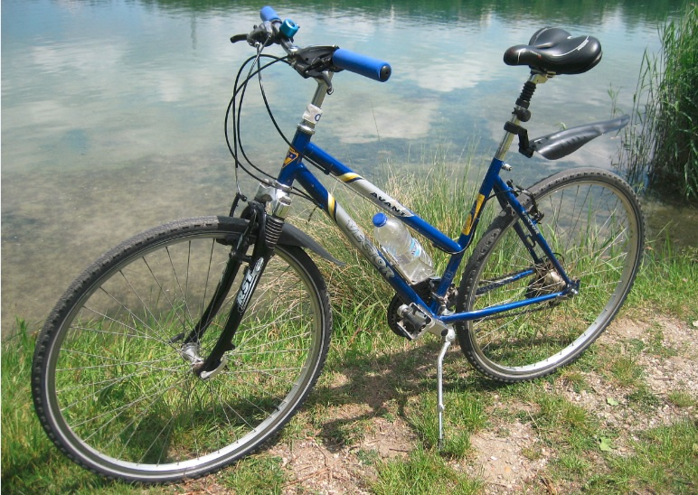 VECTOR Avant bike (kolesa 28")