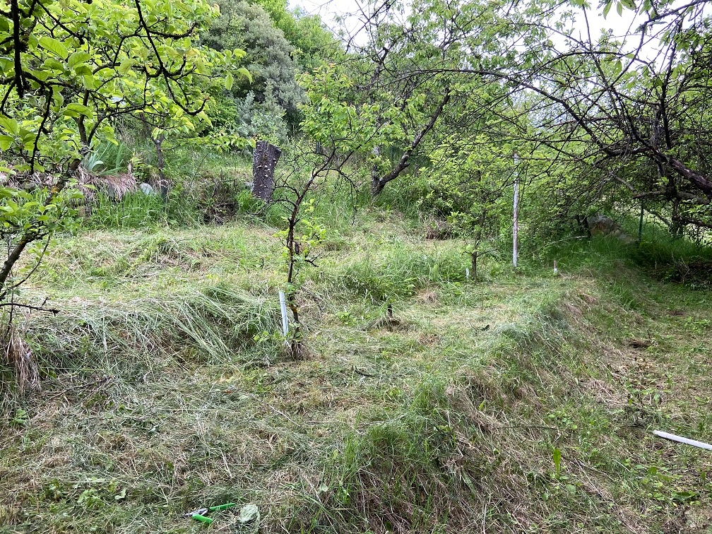 Záhrada NAD TULSKOU Banská Bystrica