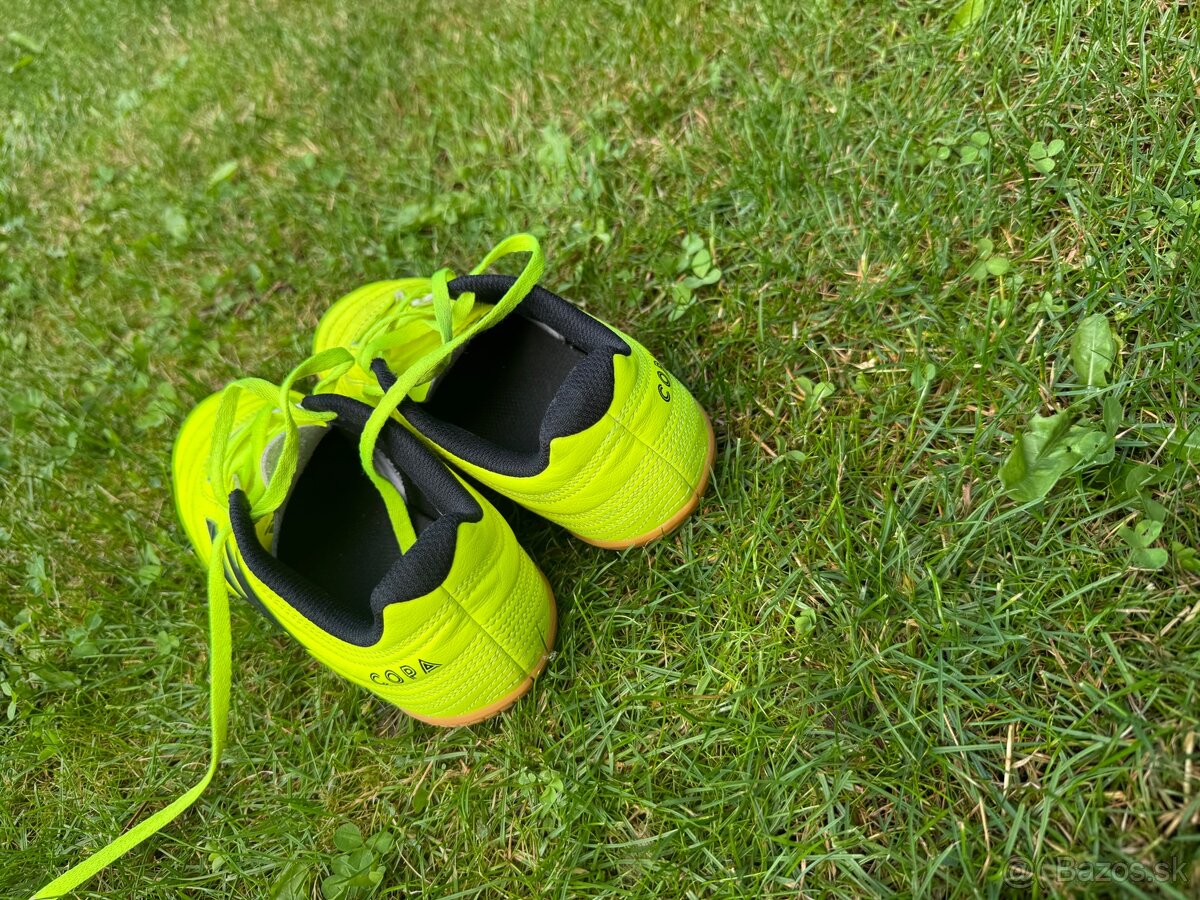 addidas halovky
