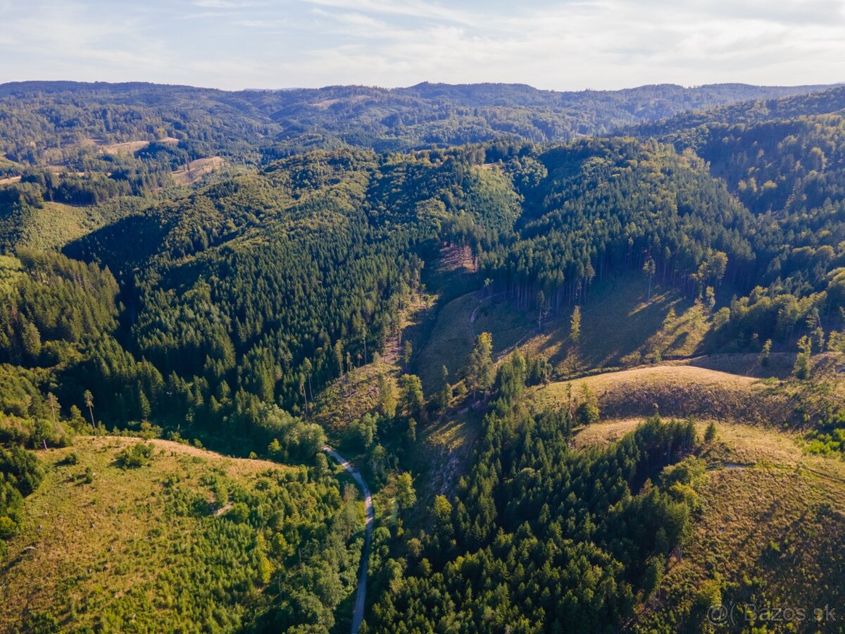 HOSPODÁRSKY LES V OBCI BUDIŠ V OKRESE TURČIANSKE TEPLICE