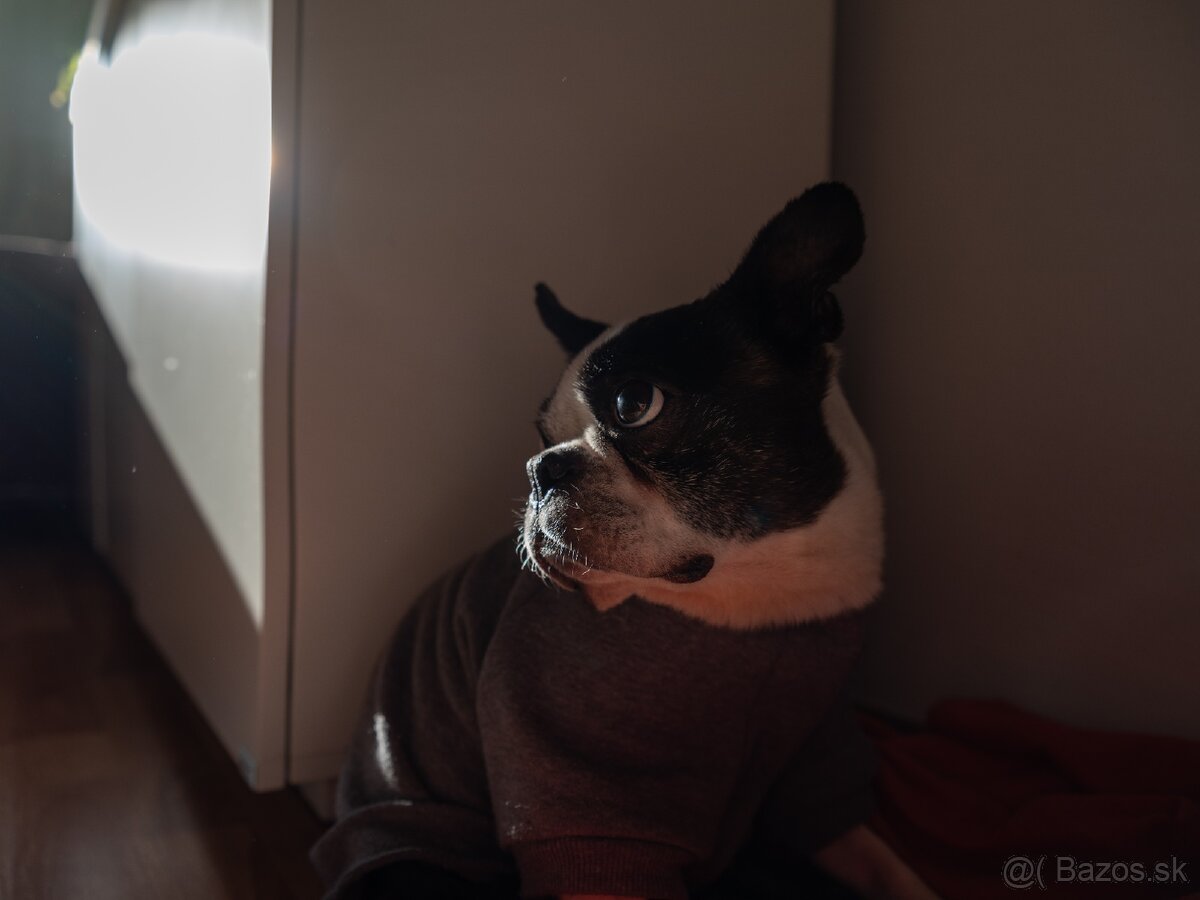 fujifilm gfx 50sii