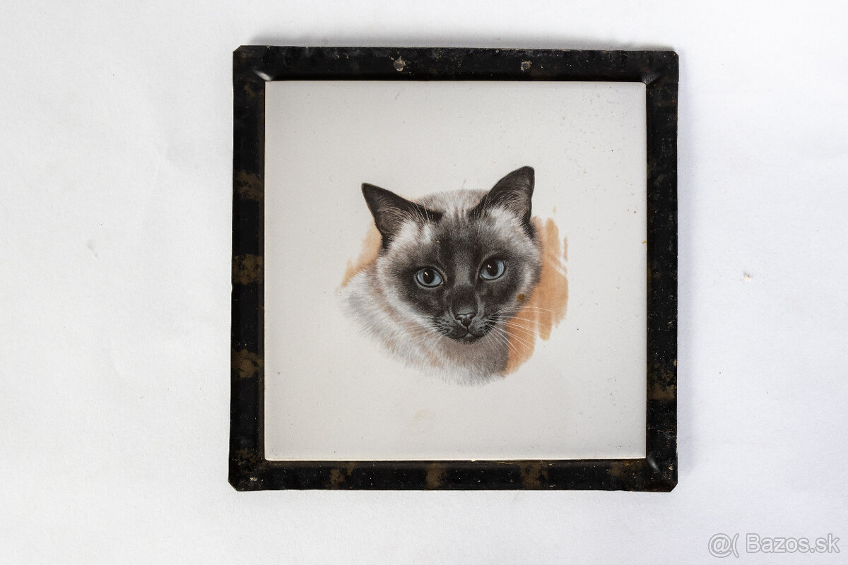 Starožitný obrázok s portrétom mačky