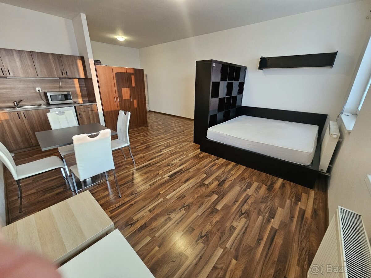 Prenajom 1-izboveho bytu