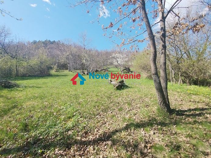 Predaj, rekreačný pozemok - Devičany (N017-14-MAHA)