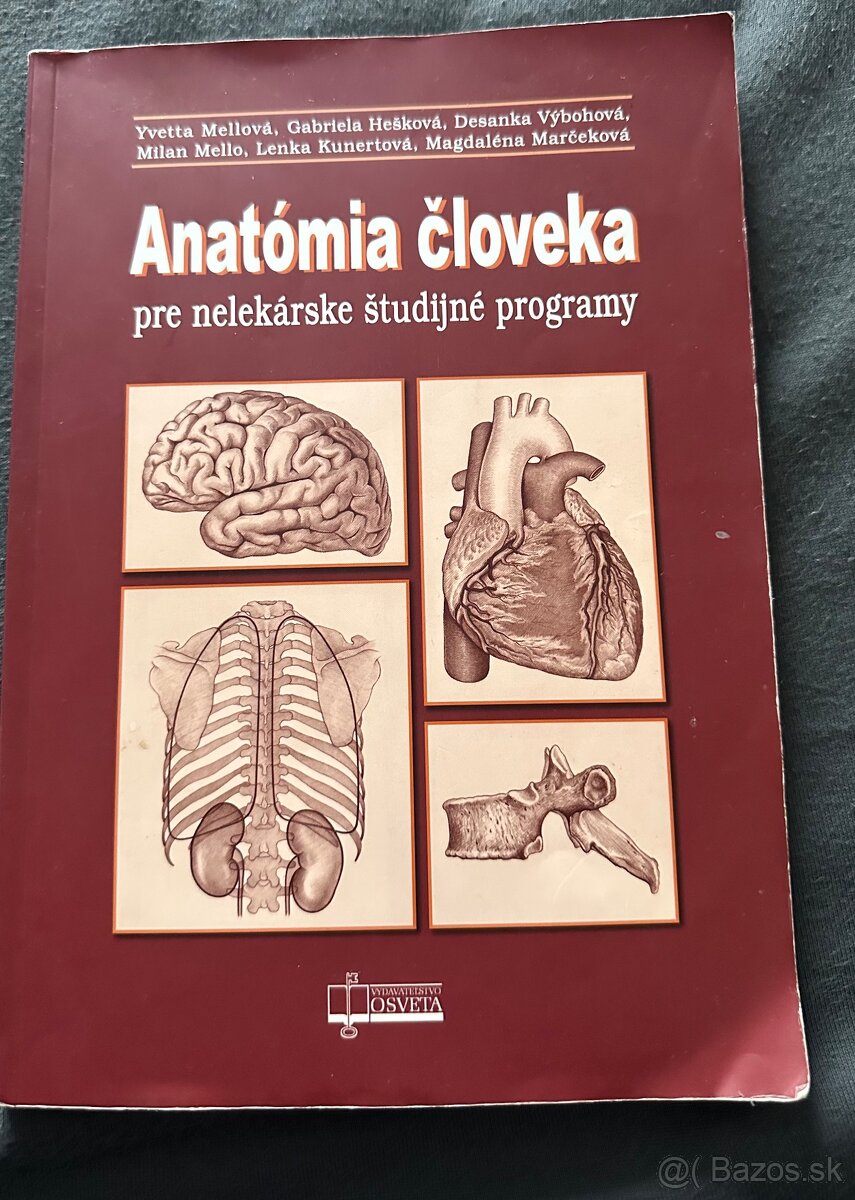 Anatómia človeka
