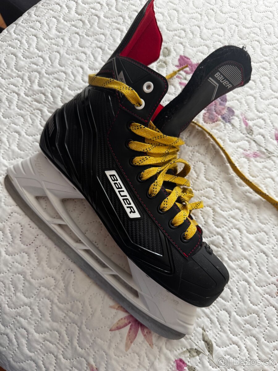 Bauer