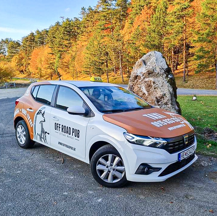 Prijmeme vodiča taxislužby
