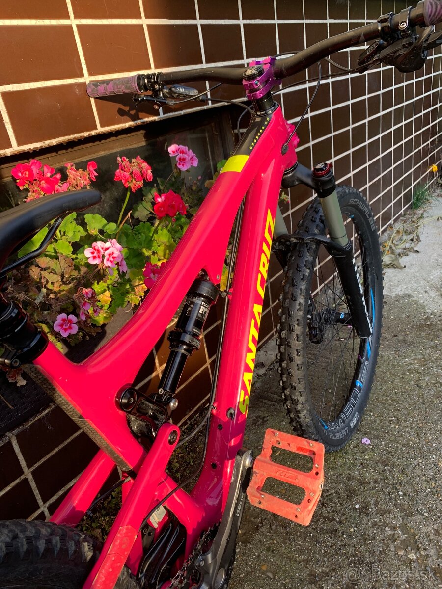 Santa Cruz