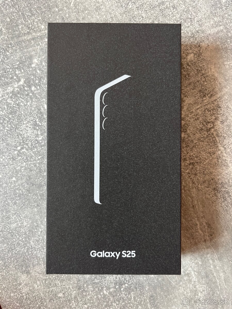 Samsung Galaxy S25 Silver Shadow