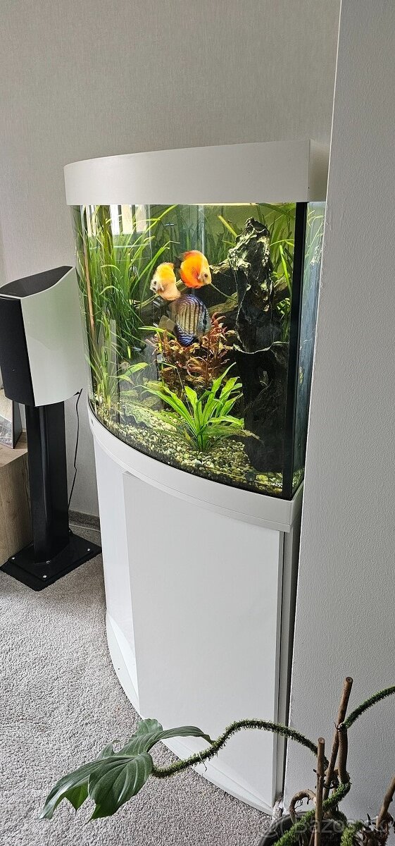 akvarium  rohove juwel 350L