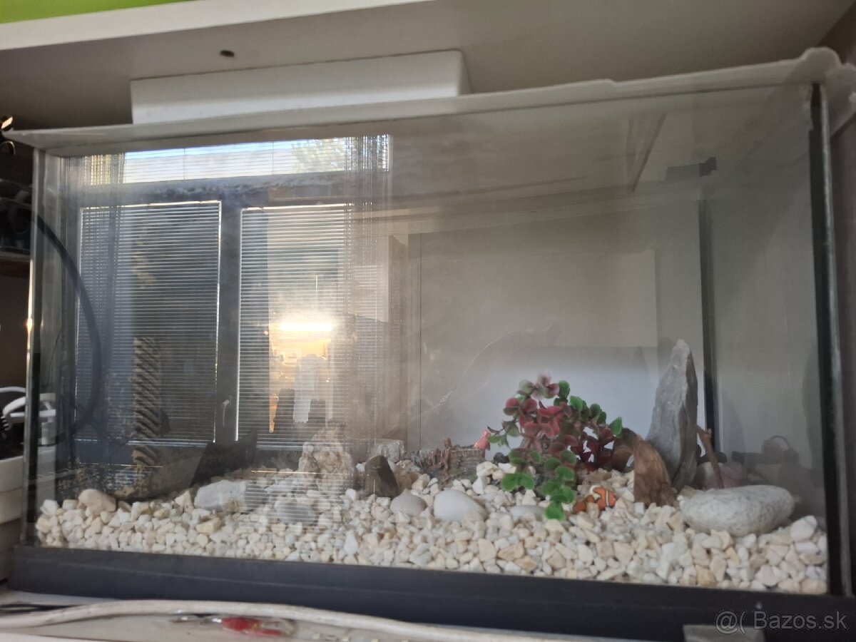 AKVARIUM CCA 60X30