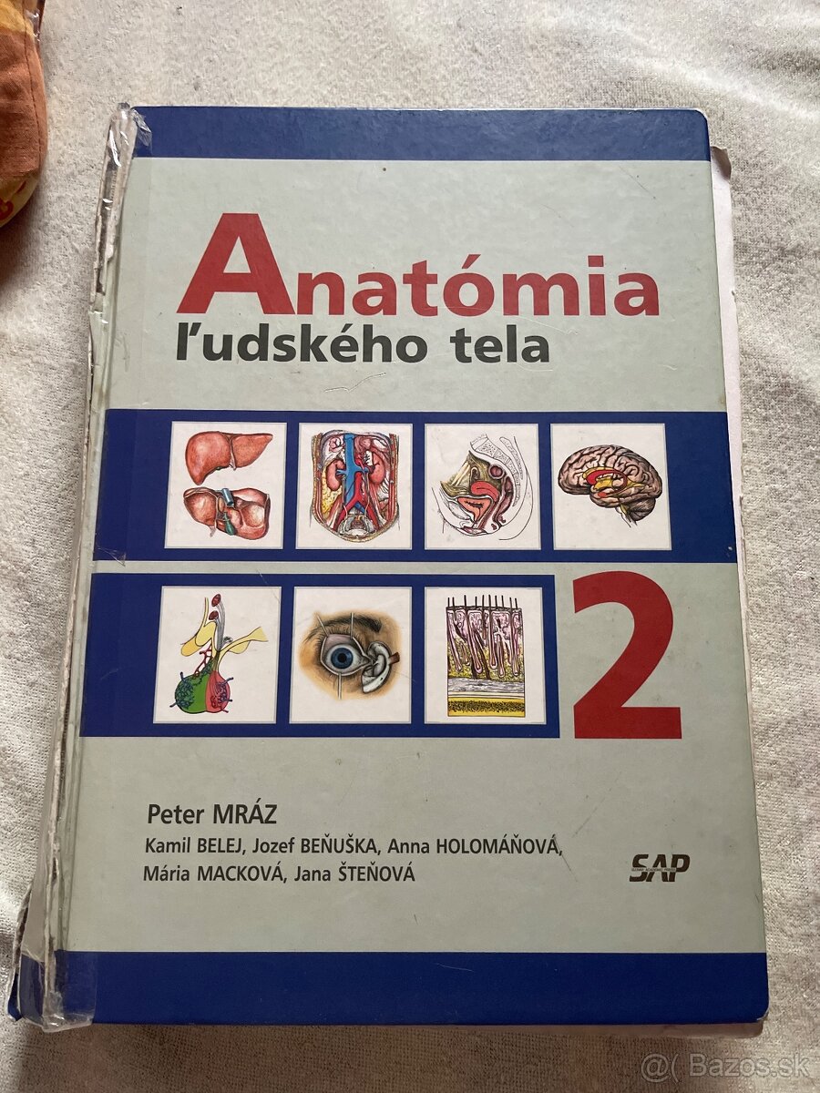 Anatomia 1,2