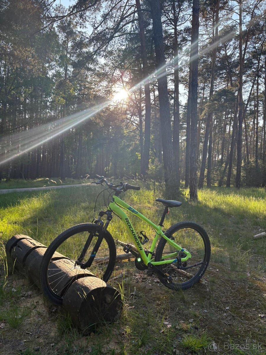 Rockrider st100