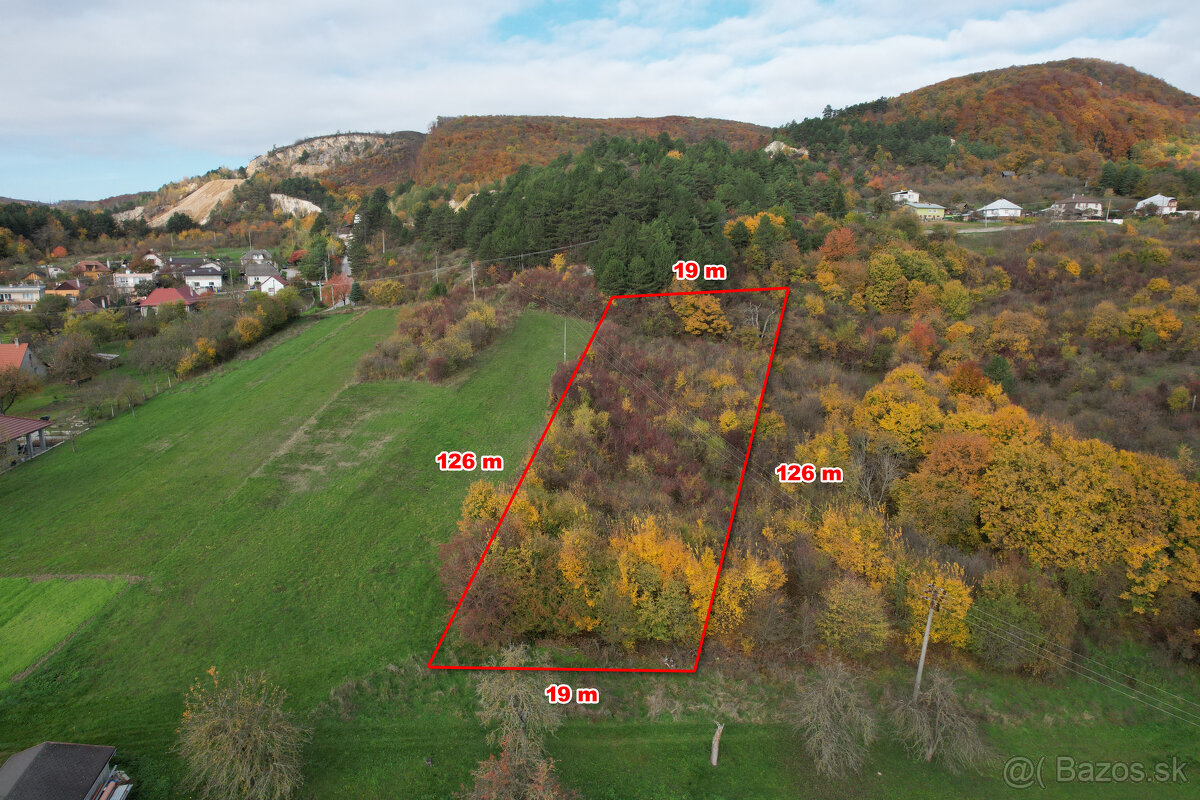 Na predaj pozemok-trvalý trávnatý porast v obci Trenčianske