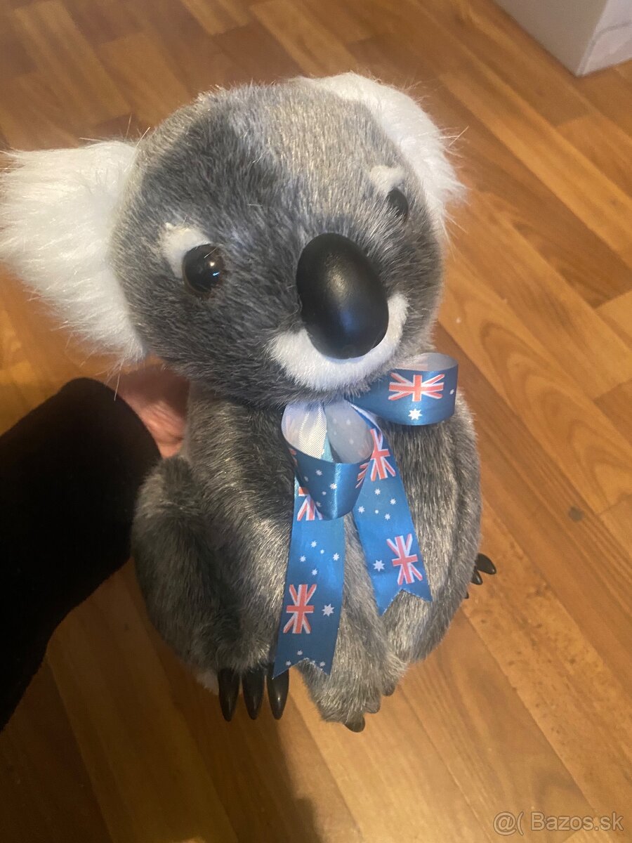 okala plysova z australie