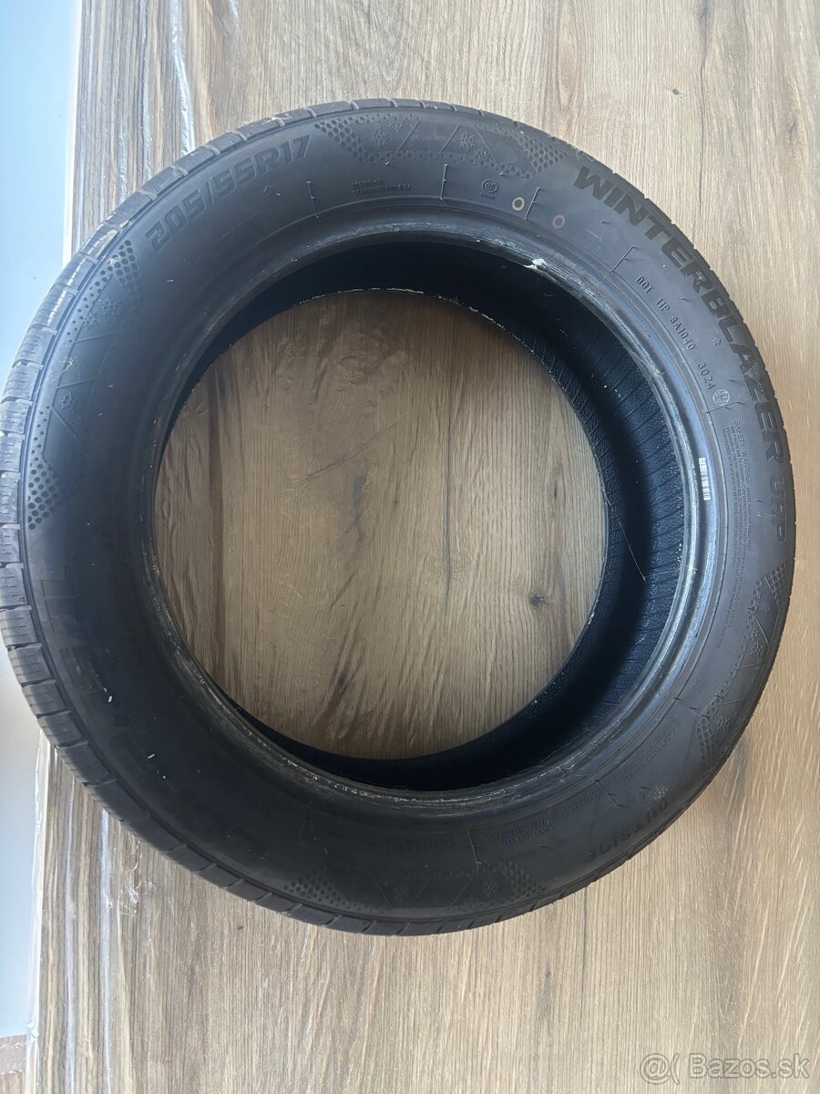 205 55 r17 zimne