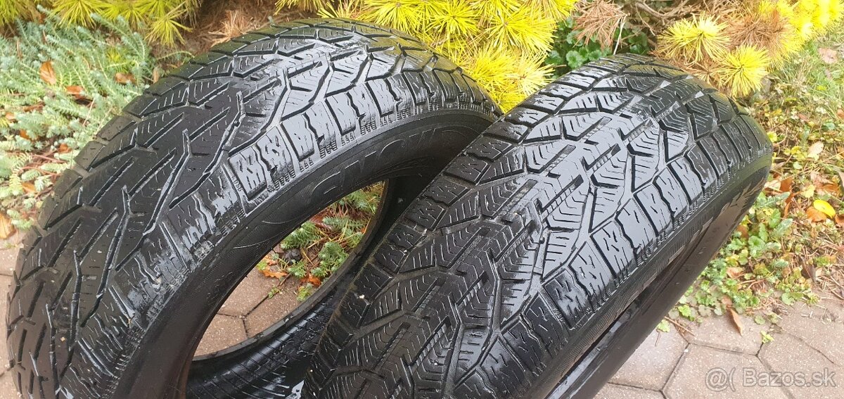 SEBRING SNOW, ZIMNE, 195/65 R15, 95T, M+S