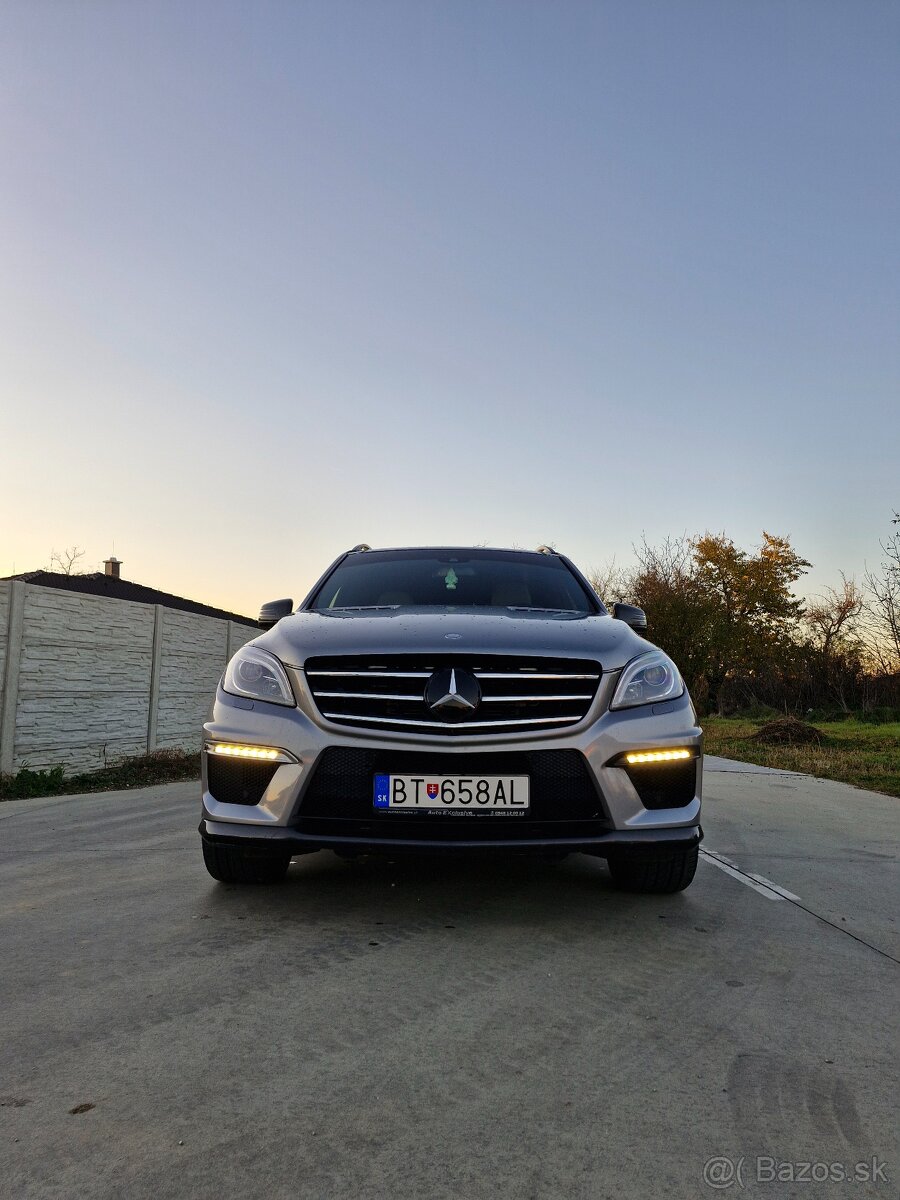 ML 63